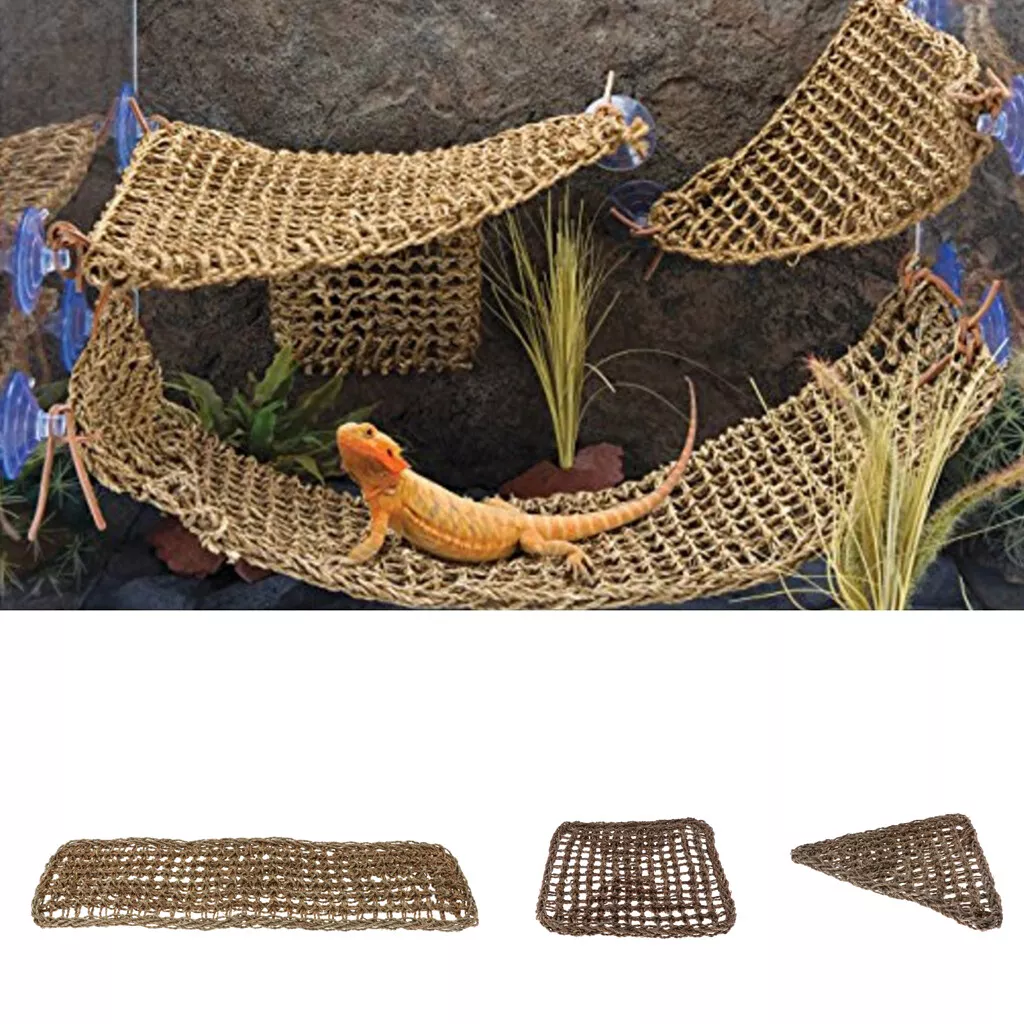 Bearded dragon hammock clearance petco