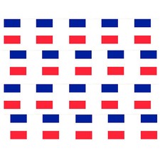 HUGE 200FT FRENCH BUNTING LARGE FRANCE FLAG DECORATION 60 METRES BASTILLE DAY