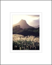 Mt. Olomana, Oahu Hawaii - 16x20 Matted Print by Kenny Williams Photography