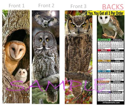 3 Owls 2020 Calendar Bookmark Bird Gray Barn Great Horn Owl Chick