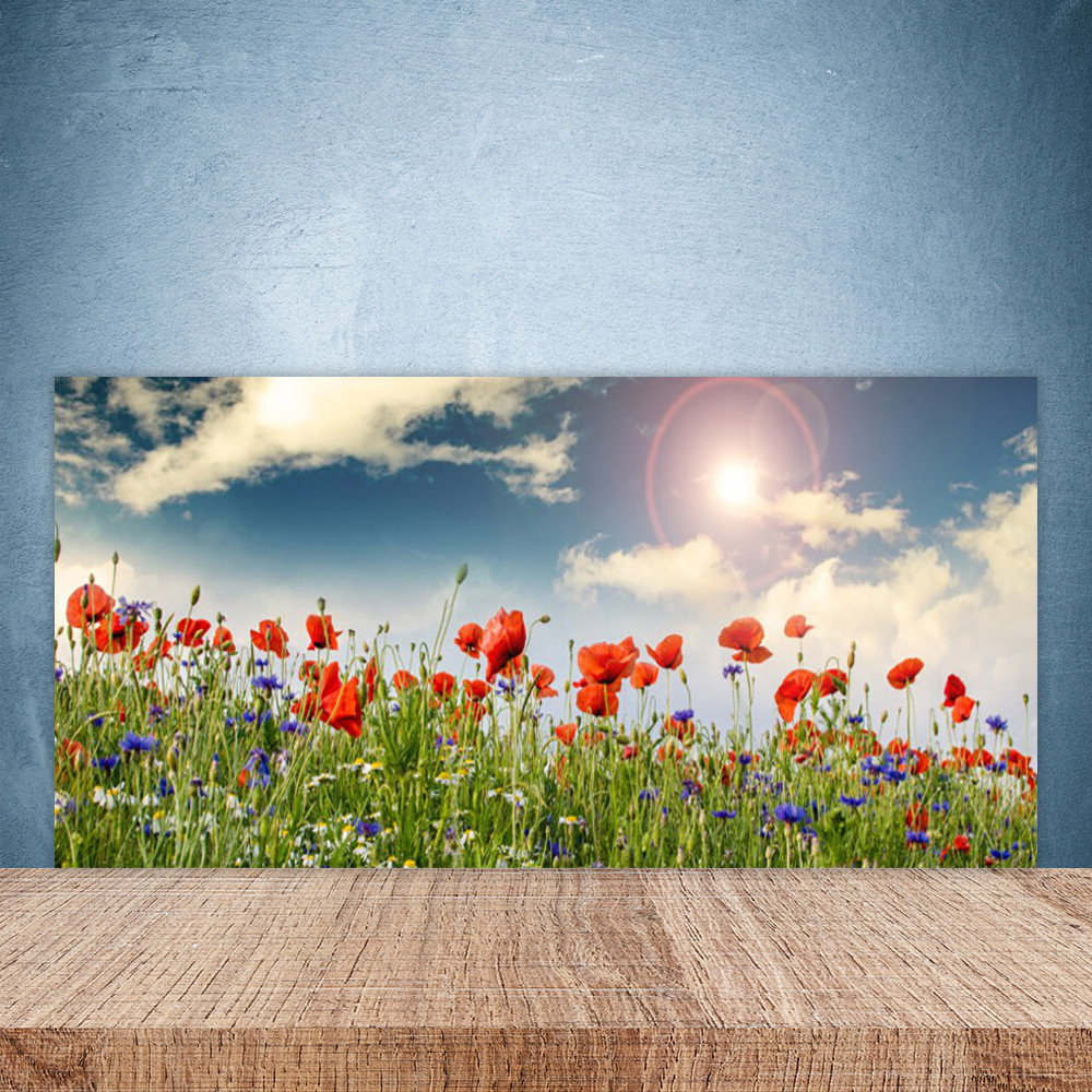 Panneau en verre 100x50 cm pour illuminer la cuisine avec un décor de prairie fleurie