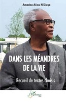 Amadou Aliou N'diaye | Dans Les MéAndres De La Vie | Taschenbuch | FranzöSisch