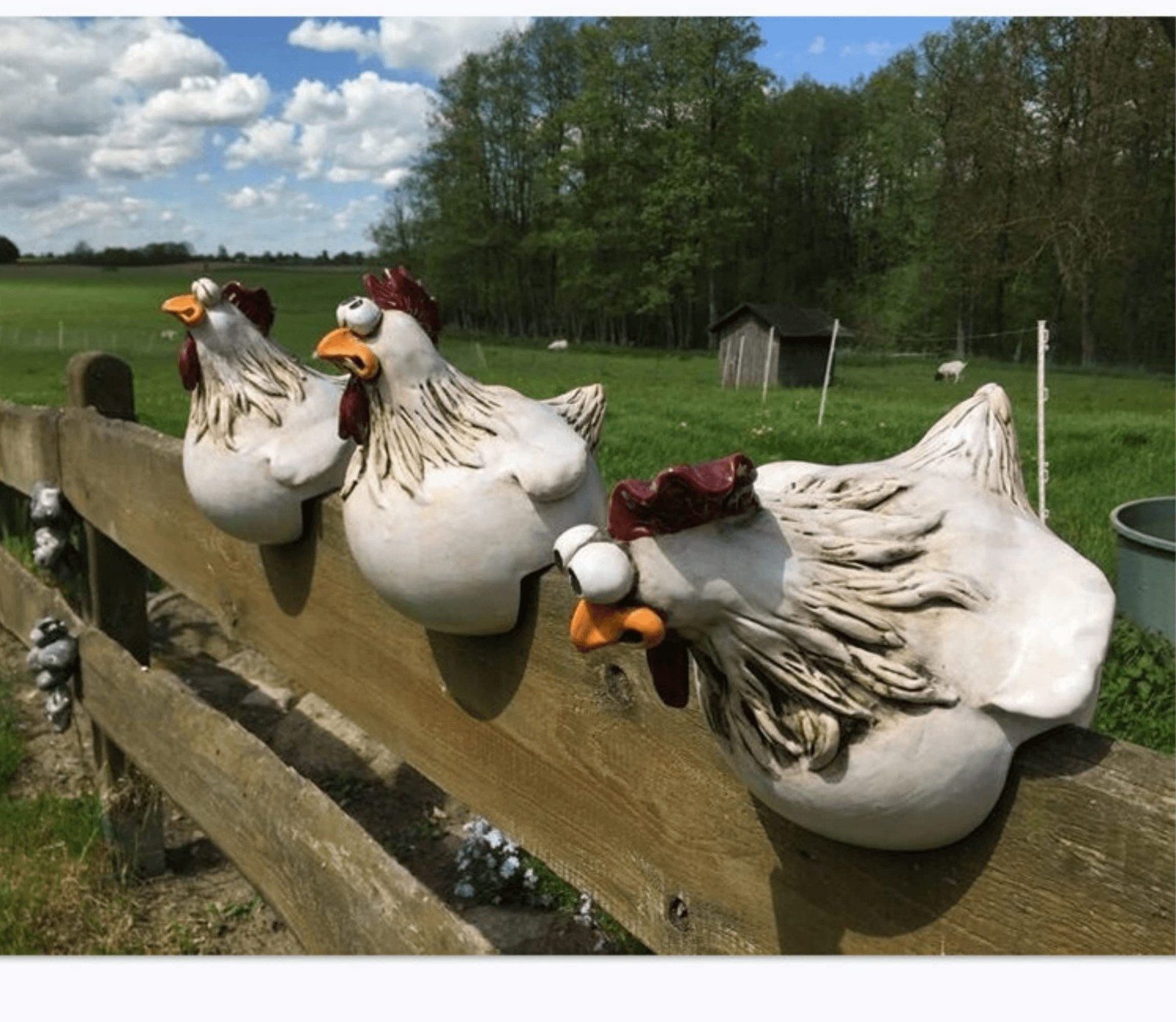 Funny Farm Chicken Fence Decoration for Home Garden Decor