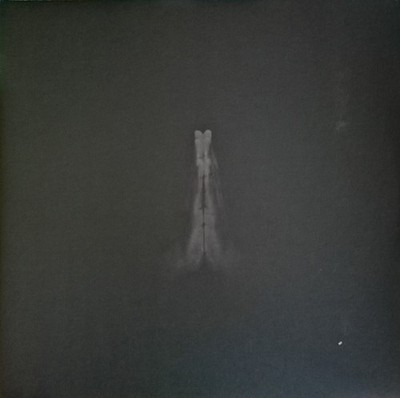 Sault - Untitled (Rise) (2xLP) (Mint (M)) - 4024073043