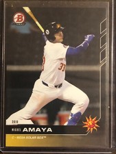 2019 Topps Bowman Next #AFL-17 Miguel Amaya Chicago Cubs Mesa Solar Sox