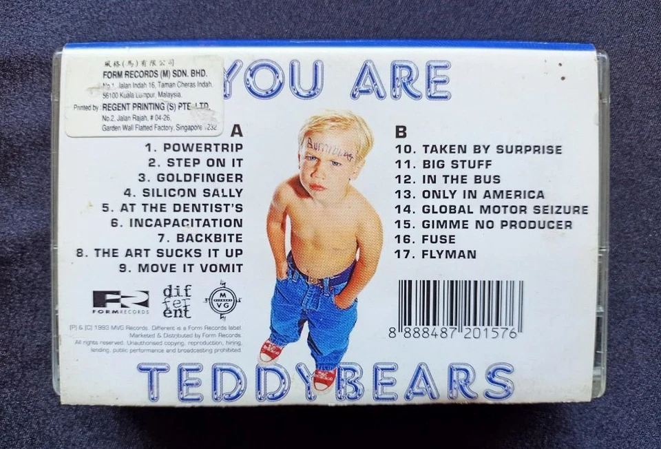 Teddybears STHLM : You Are Teddybears ( Cassette Tape ) - Image 2 of 4