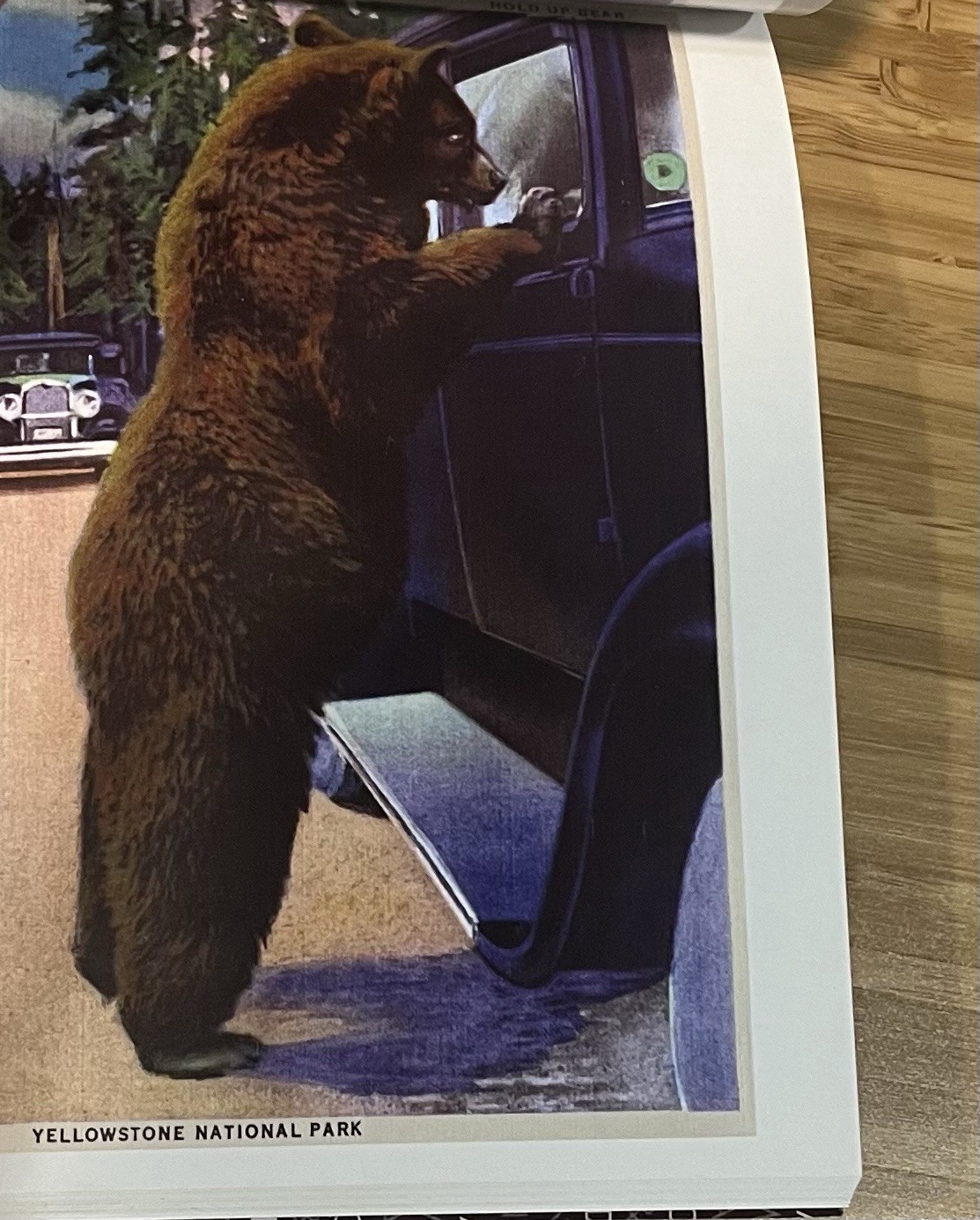 U.S. National Parks Postcard Book, 30 Oversized Postcards, New