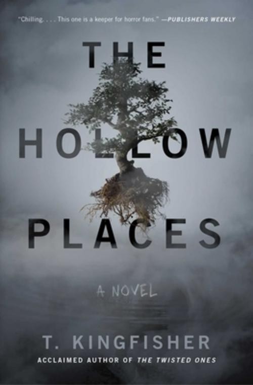 Hollow Places T. Kingfisher - Bild 2