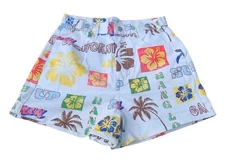 Urban Outfitters BDG Womens Multicolor Graphic  Shorts Size 27