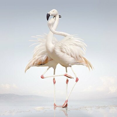 Rustie - Green Language [VINYL]