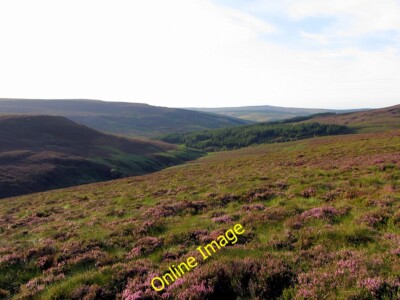 Foto 6x4 Moorland südwestlich von Grat auf Haggie Knowe "von Raven Bur c2014