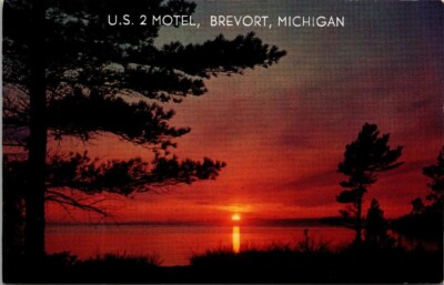 Vtg US 2 Motel Brevort Michigan MI Sunset Among the Pines Postcard Roadside