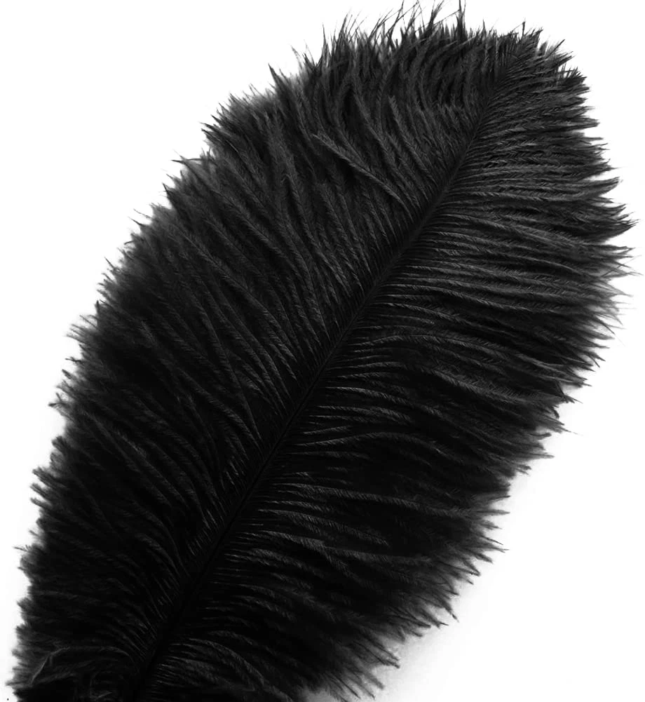 10 Pcs Natural Black Ostrich Feathers 14-16 Inch(35-40 Cm) Bulk for DIY  Hallowee