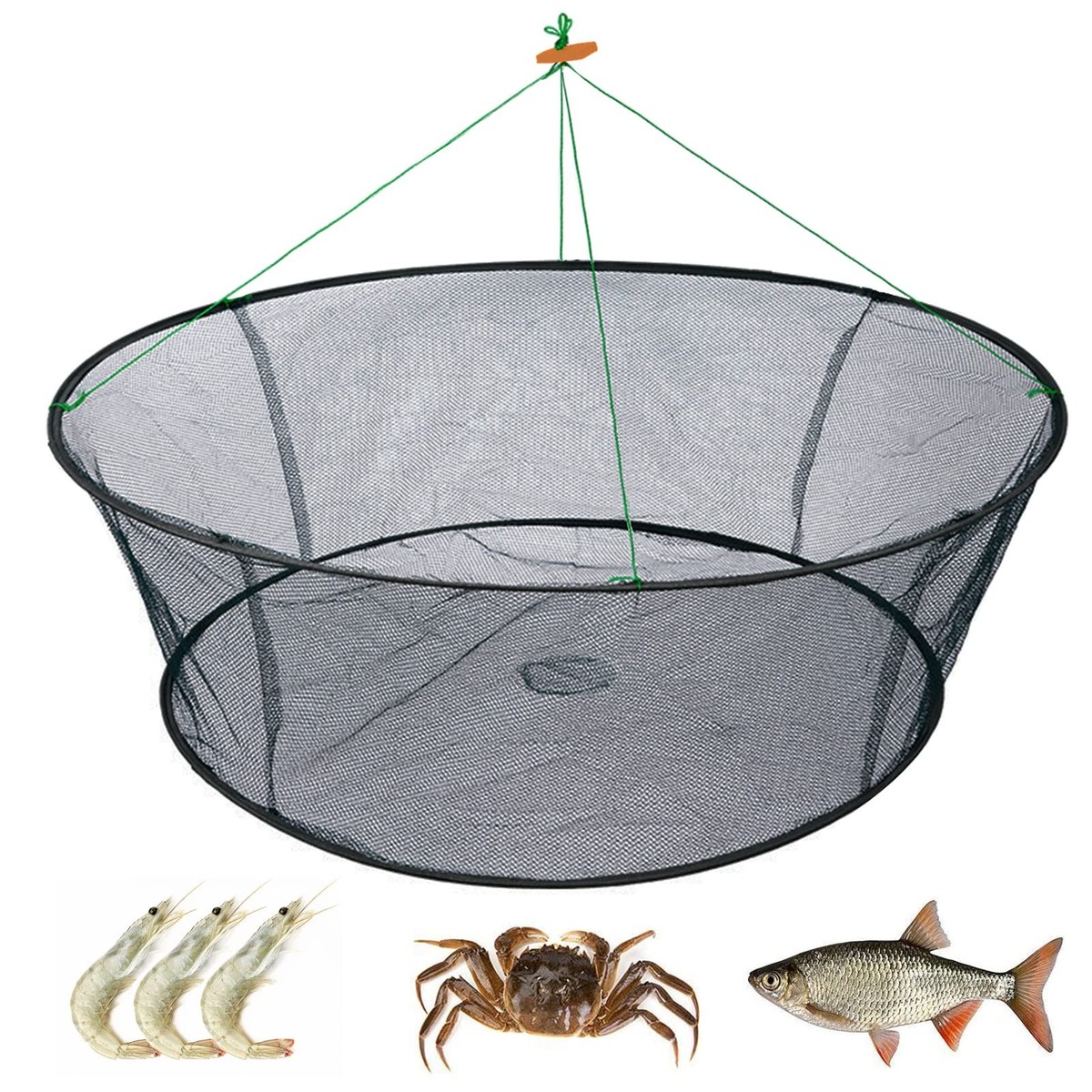 crab fishing with net Portable Folded Fishing Net, Crab Net Fish Net with Fishing Rope, Hand  Castin