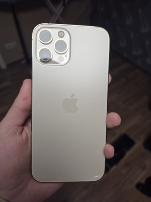 Apple iPhone 12 Pro Max 256GB Gold ohne Simlock