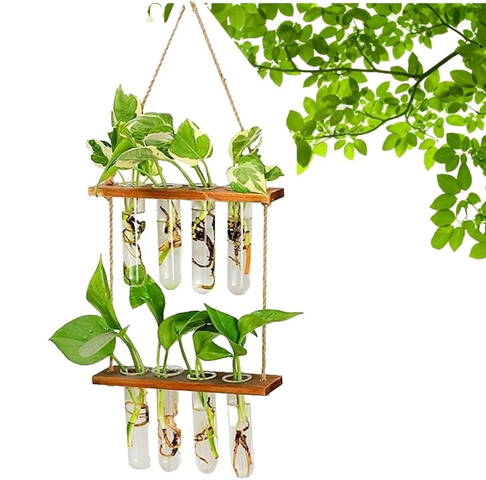 Florero Colgante Jarrones