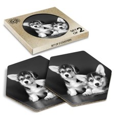 2 x Hexagon Coasters - BW - Cute Corgi Puppies Puppy Dog #38653