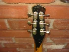 Picture 3 of 8