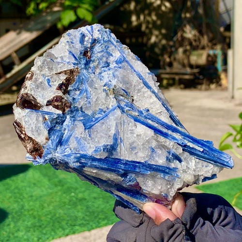 1.48LB Rare!! Natural beautiful Blue KYANITE with Quartz Crystal Specimen Rough - Picture 16 of 19