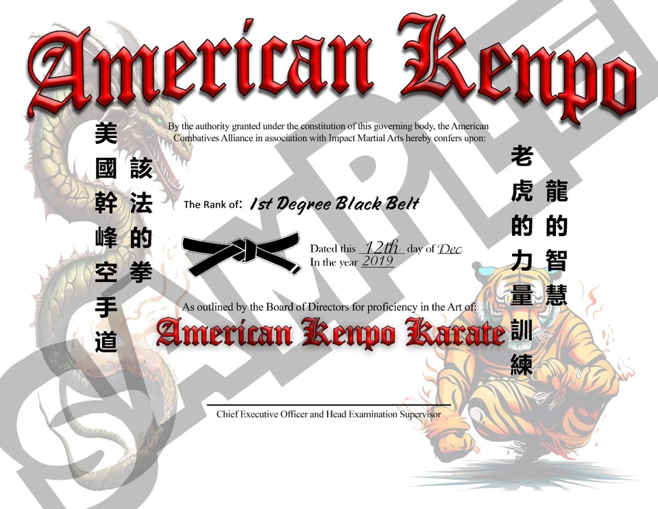 Home Study Course - American Kenpo Karate (DVDs + Certificates) - Image 2 of 4