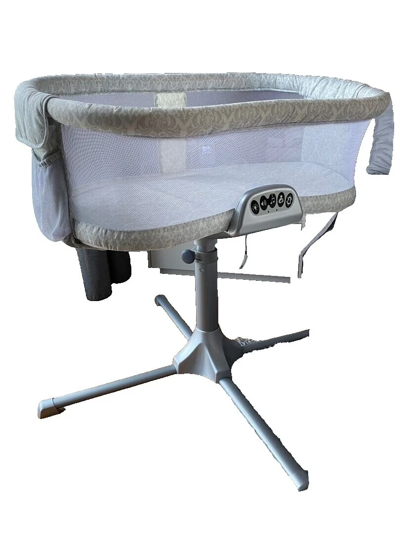 Halo Ronda Moisés y bases