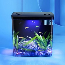 Small tabletop back-filter fish tank with LED lights and USB pump   4.5 L