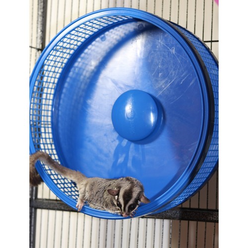 Silent Runner Pro Blue - Durable Pet Exercise Wheel with Cage Attachment - Picture 13 of 19
