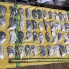 Lot of 44 Oyster Shells 3 3/4 To 6 Inch Long For Craft  Decoupage decoration — photo 1