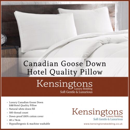 Canadian Goose Down Pillow Snow White Best Luxury Hotel Quality Pack of 1 2  4 - Photo 1/6