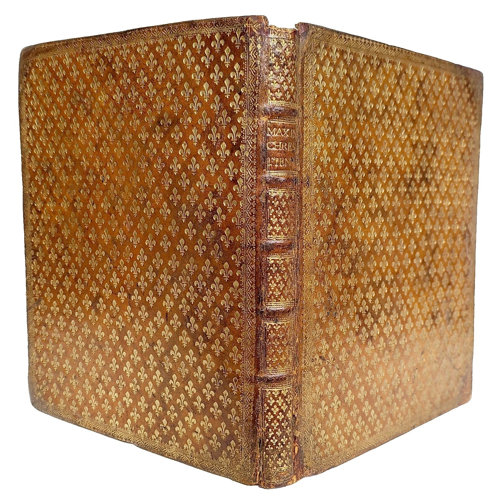 Fine Binding Antiquarian & Collectible Books in French