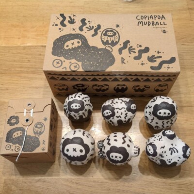 羅本製所 Copiapoa Mudball Blind box 6個セット Copiapoa Mudball Figure 6 types Set Robinceramicstudio From