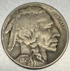 1925 P Buffalo Nickel FN Fine Condition 5 Cent US Coin - 4486