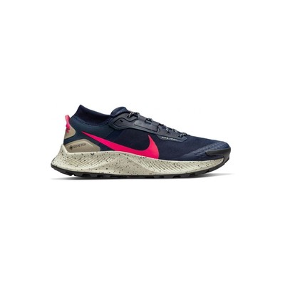 Schuhe Lauf Herren Nike Pegasus Trail 3 Gtx DC8793401 Dunkelblau