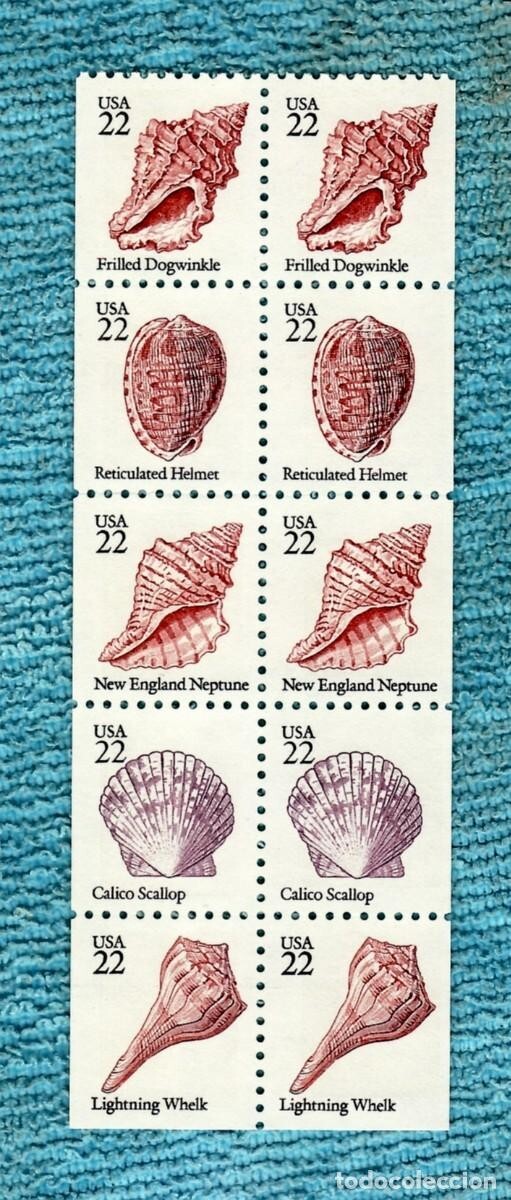 Foto 1 di 1