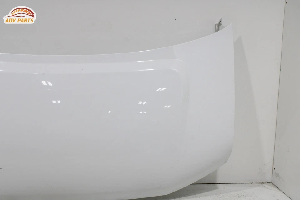 Chevrolet Express 3500 2500 1500 2003-2024 capó capó carcasa cubierta panel OEM Foto 4 de 4