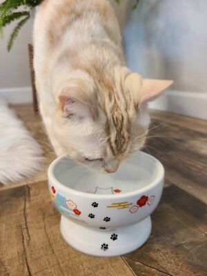 Necoichi - Raised Cat Water Bowl (Limited Edition Mount Fuji)