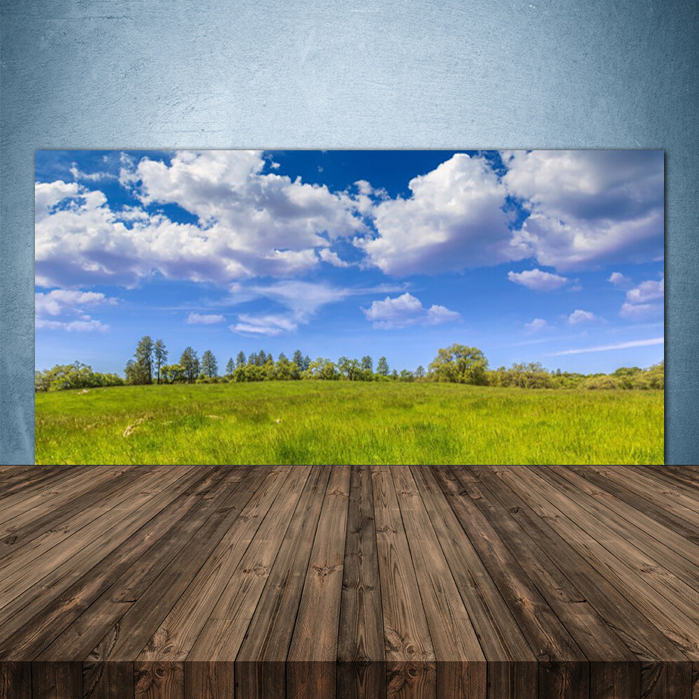 Crédence de cuisine en verre grand format 140x70 cm avec impression prairie
