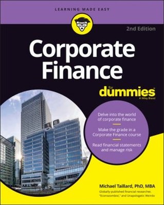Corporate Finance for Dummies Paperback Michael Taillard