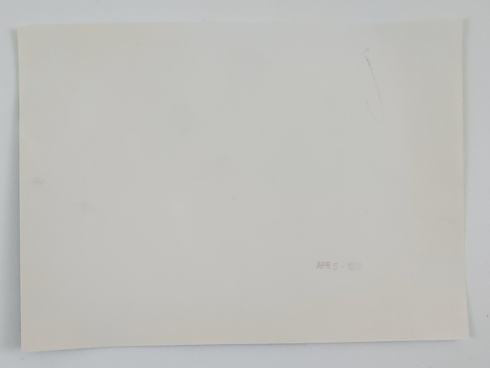 1979 Washington DC Japanese Stone Lantern Cherry Blossom Fest Vtg Press