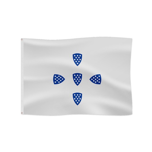 Medieval Coat of Arms Flag for Outdoor Fun Historical Flag - Picture 15 of 27