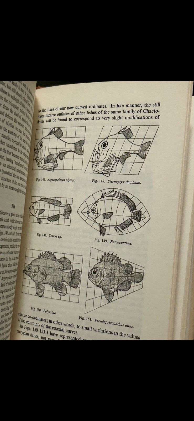 On Growth and Form by the late Sir D’ Arcy Thompson. 1961. HC/DJ. FINE!!