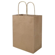100 Kraft Paper Gift Bags with Handles Bulk 8x4.75x10 Inch Recyclable Sturdy
