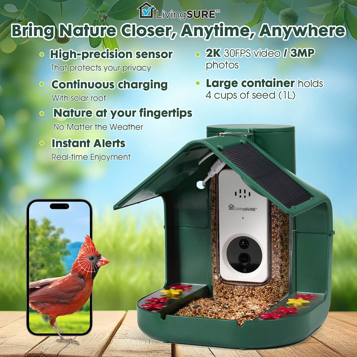 2-in-1 Smart Bird Feeder with Camera Outdoor Solar Powered Smart Birdfeeder Live