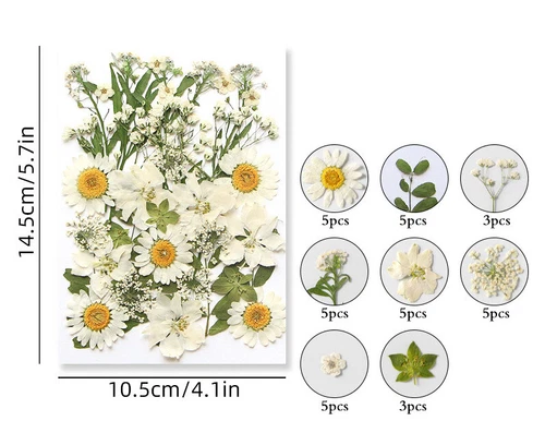 Dried Pressed Flowers Natural Epoxy Resin Candle Nail Art Scrapbooking Craft AU - Picture 22 of 210