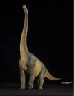 Foto 3 di 10