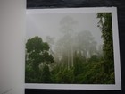 Picture 3 of 7