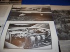 Picture 4 of 6