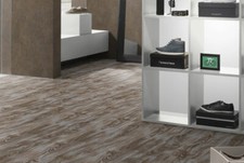 205cm Extra Long Egger Mammut+ Laminate Flooring 10mm V-Groove Made in Germany