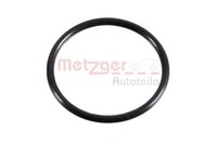 Metzger 2430048 Dichtring FüR Skoda VW