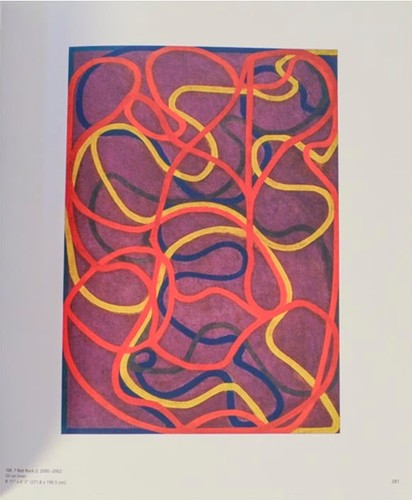 Michael Duffy / PLANE IMAGE A BRICE MARDEN RETROSPECTIVE Signed First #207394 - Picture 2 of 7